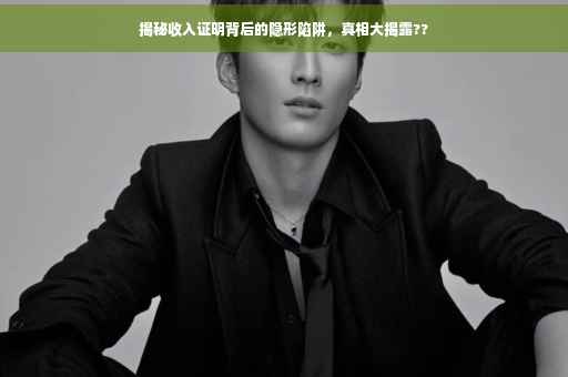 揭秘收入证明背后的隐形陷阱，真相大揭露??
