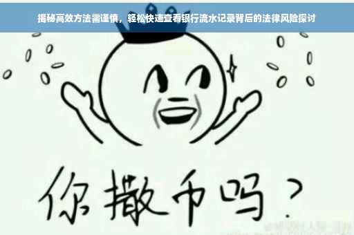 揭秘高效方法需谨慎，轻松快速查看银行流水记录背后的法律风险探讨