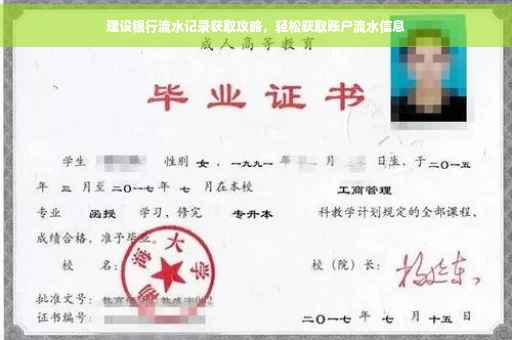 建设银行流水记录获取攻略，轻松获取账户流水信息