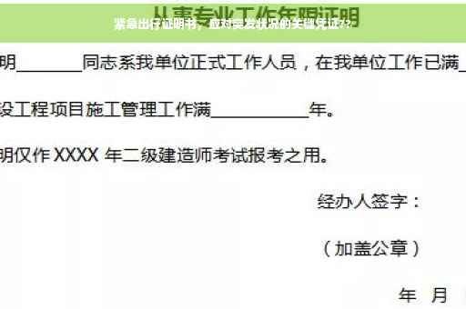 紧急出行证明书，应对突发状况的关键凭证??