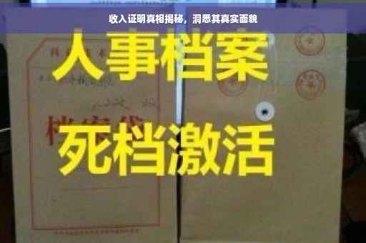 收入证明真相揭秘，洞悉其真实面貌