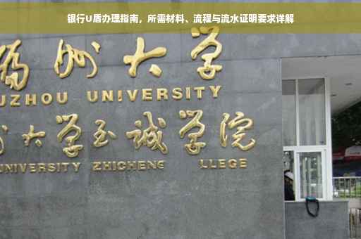 银行U盾办理指南，所需材料、流程与流水证明要求详解