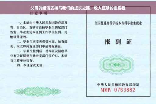 父母的经济支持与我们的成长之路，收入证明的重要性