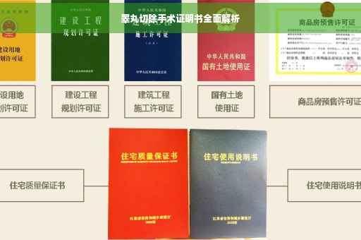 睾丸切除手术证明书全面解析