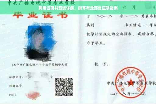 聘用证明书薪资详解，撰写有效薪资证明指南