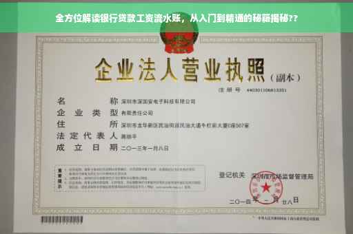 全方位解读银行贷款工资流水账，从入门到精通的秘籍揭秘??