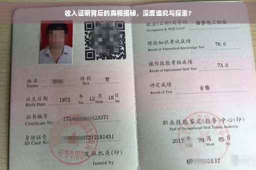 收入证明背后的真相揭秘，深度追究与探索?