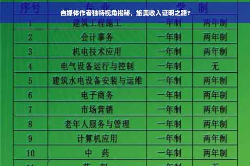 自媒体作者独特视角揭秘，旅美收入证明之路?
