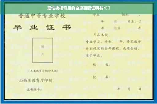 理性抉择背后的自愿离职证明书?⚡️