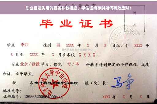 毕业证遗失后的妥善补救措施，学位证尚存时如何有效应对？