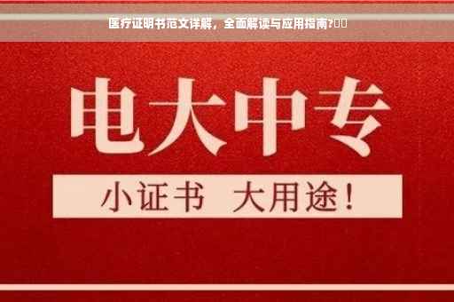 医疗证明书范文详解，全面解读与应用指南?⚡️