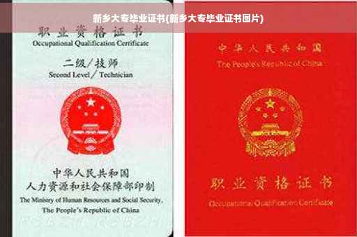 新乡大专毕业证书(新乡大专毕业证书图片)