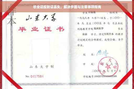 毕业证报到证丢失，解决步骤与注意事项指南