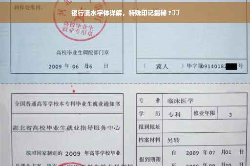 银行流水字体详解，特殊印记揭秘 ?⚡️
