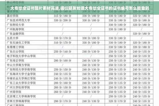 大专毕业证书图片素材高清,哪位朋友知道大专毕业证书的证书编号怎么能查到