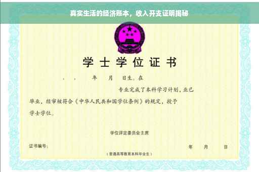 真实生活的经济账本，收入开支证明揭秘