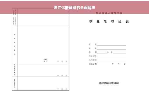 湛江诊断证明书全面解析