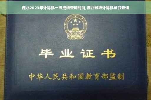 湖北2023年计算机一级成绩查询时间,湖北省级计算机证书查询