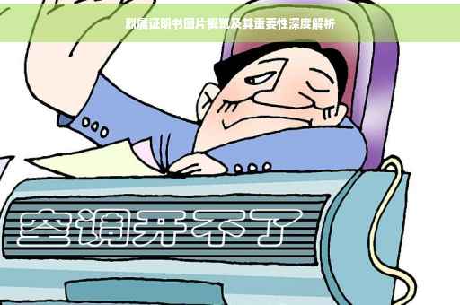 烈属证明书图片概览及其重要性深度解析
