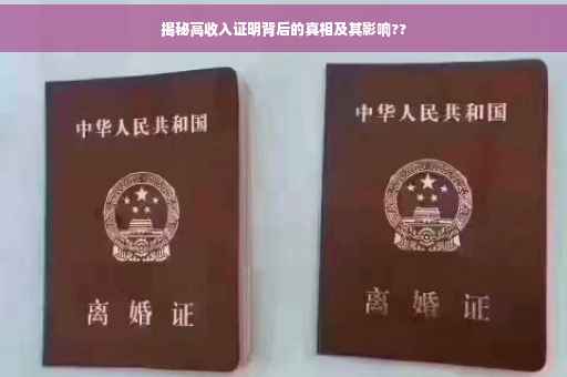 揭秘高收入证明背后的真相及其影响??