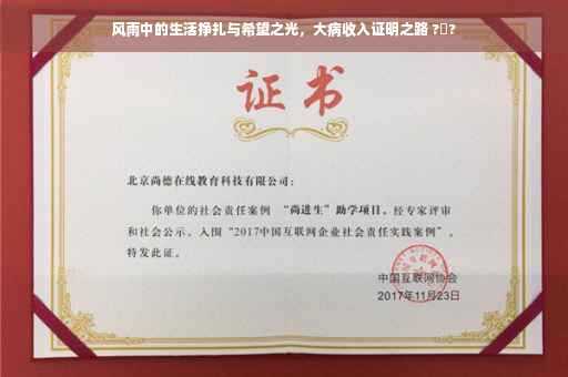 风雨中的生活挣扎与希望之光，大病收入证明之路 ?️?