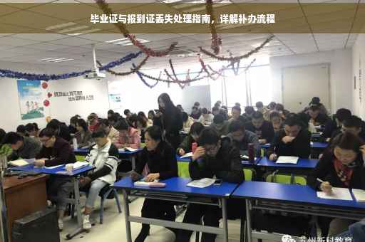 毕业证与报到证丢失处理指南，详解补办流程