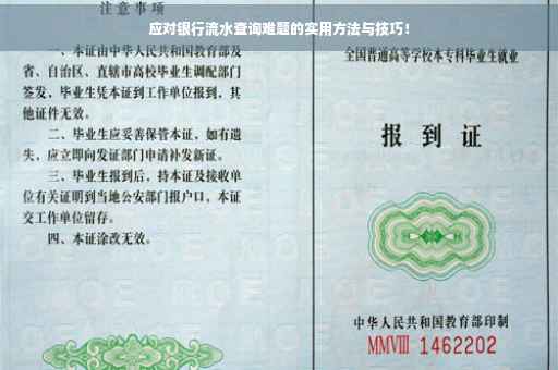 应对银行流水查询难题的实用方法与技巧！