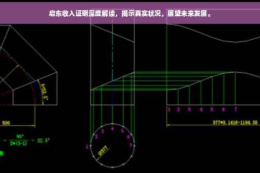 启东收入证明深度解读，揭示真实状况，展望未来发展。