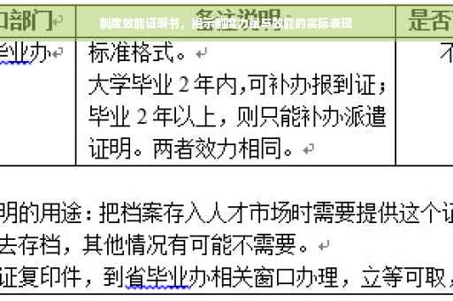 制度效能证明书，揭示制度力量与效能的实际表现