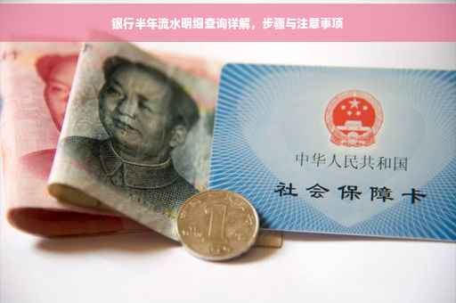 银行半年流水明细查询详解，步骤与注意事项