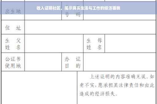 收入证明社区，揭示真实生活与工作的经济面貌