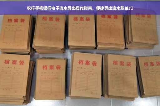 农行手机银行电子流水导出操作指南，便捷导出流水账单?✨