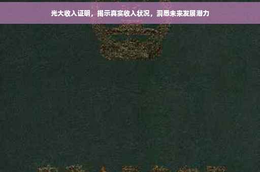 光大收入证明，揭示真实收入状况，洞悉未来发展潜力