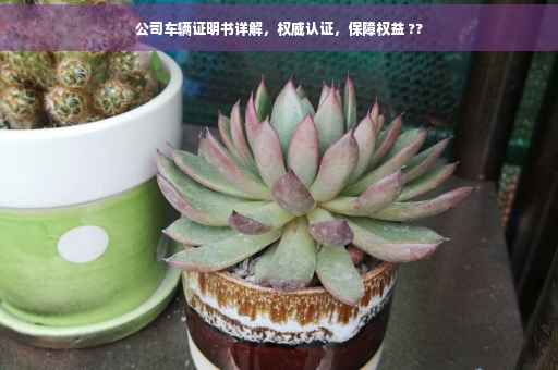 公司车辆证明书详解，权威认证，保障权益 ??