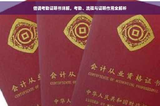 借调考勤证明书详解，考勤、流程与证明作用全解析