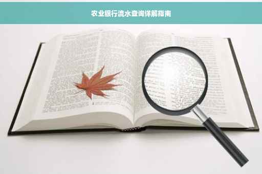 农业银行流水查询详解指南