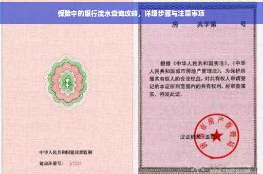 保险中的银行流水查询攻略，详细步骤与注意事项