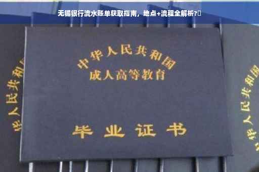无锡银行流水账单获取指南，地点+流程全解析?✨