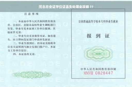 河北毕业证学位证丢失处理全攻略 ??