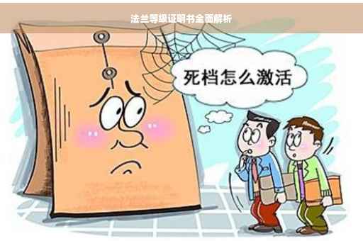 法兰等级证明书全面解析