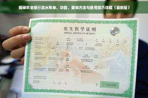 揭秘农业银行流水账单，功能、查询方法与使用技巧详解（最新版）