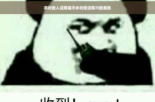 农村收入证明揭示乡村经济振兴新面貌