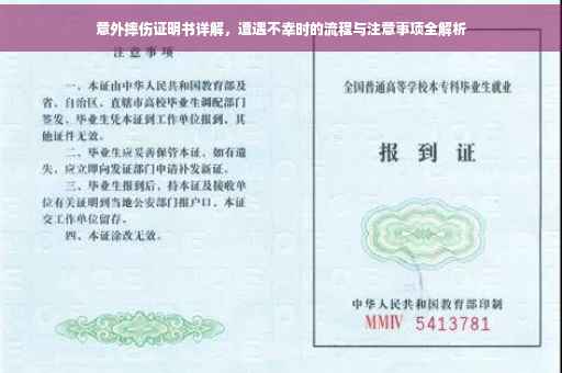 意外摔伤证明书详解，遭遇不幸时的流程与注意事项全解析