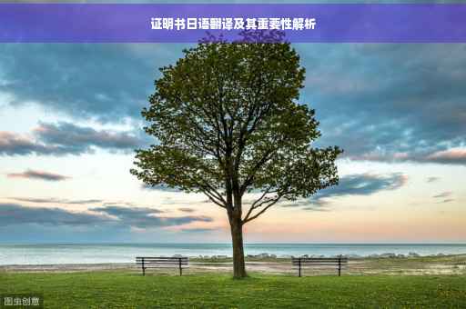 证明书日语翻译及其重要性解析