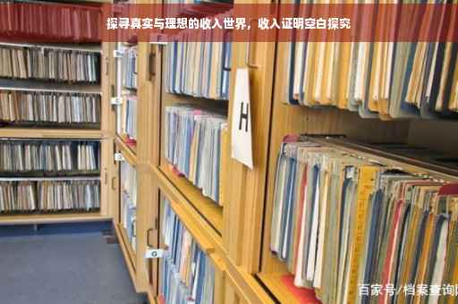 探寻真实与理想的收入世界，收入证明空白探究