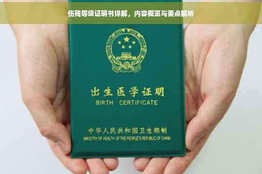 伤残等级证明书详解，内容概览与要点解析