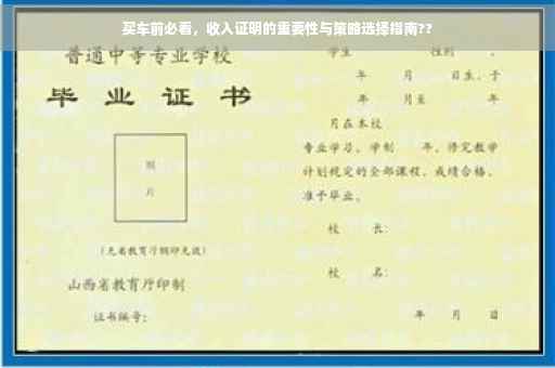 买车前必看，收入证明的重要性与策略选择指南??