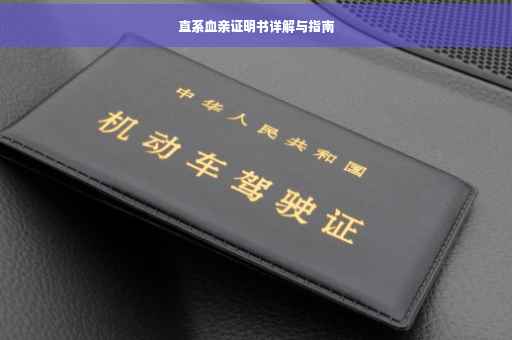 直系血亲证明书详解与指南