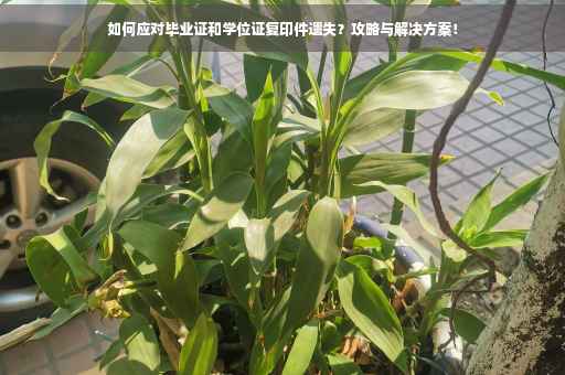 如何应对毕业证和学位证复印件遗失？攻略与解决方案！