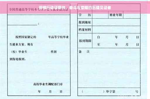 劳模行动证明书，奋斗与荣耀的历程见证者